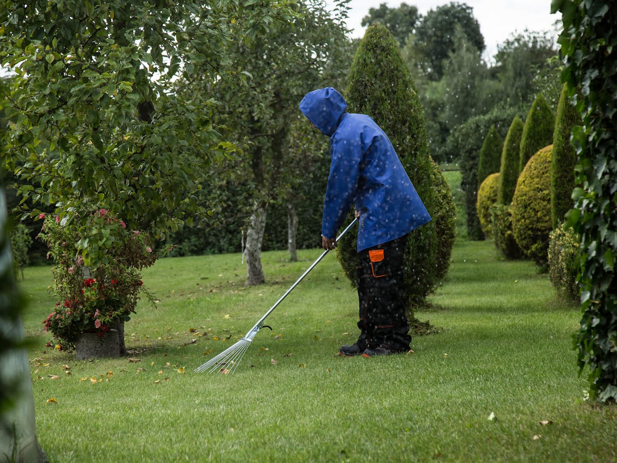 Yard Cleanup & Garbage Removal